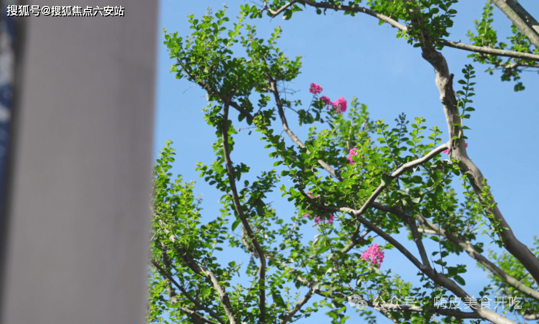 叠墅业态容积率11精装配大金中央空调交通路网便捷兼顾生态宜居与品质体验尊龙凯时新版APP杭州上城区丁桥核心湖居标杆——天阳湖山丽舍定位纯四层(图3)