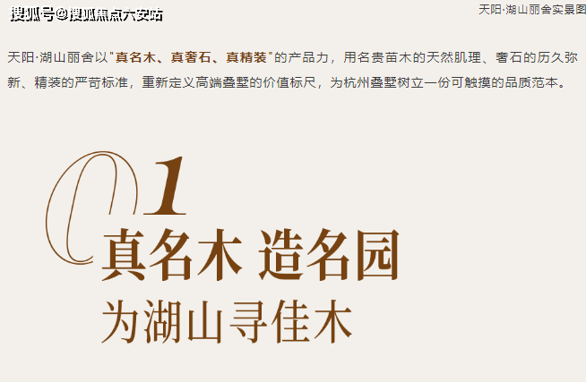 叠墅业态容积率11精装配大金中央空调交通路网便捷兼顾生态宜居与品质体验尊龙凯时新版APP杭州上城区丁桥核心湖居标杆——天阳湖山丽舍定位纯四层(图6)